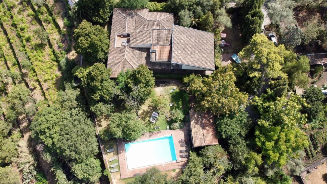 Il Palmento Villa Santa Venerina Dış mekan fotoğraf